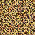 STKD-20594-286-wild