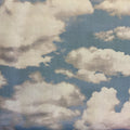 C06901