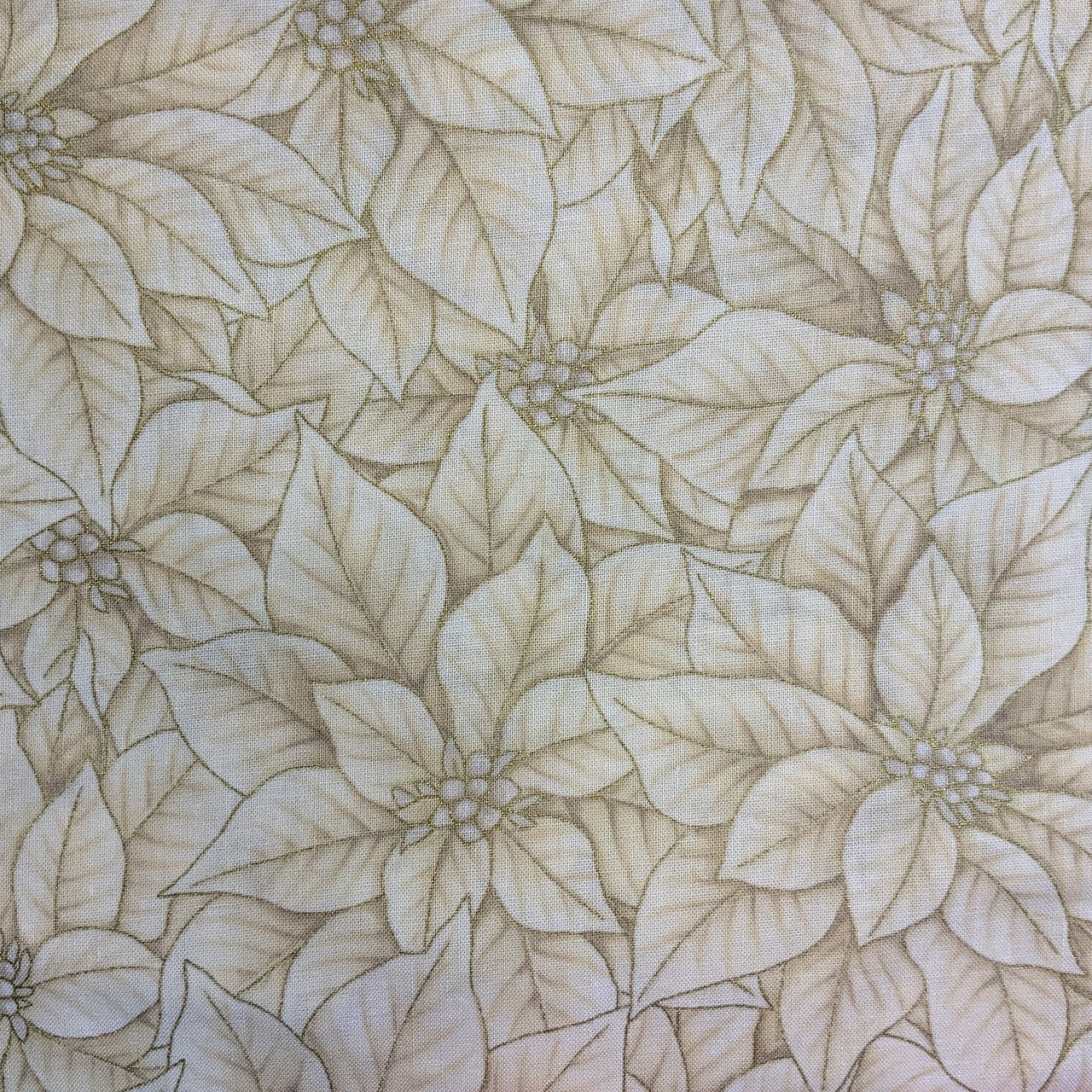 G8562 cream