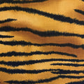 Wild C2719-Ginger