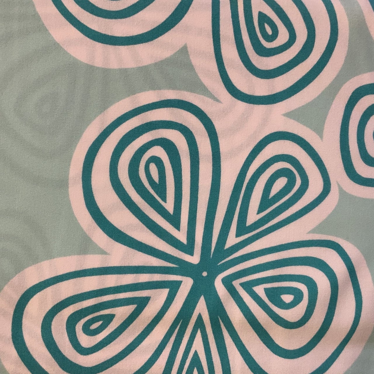 R22N438 120D