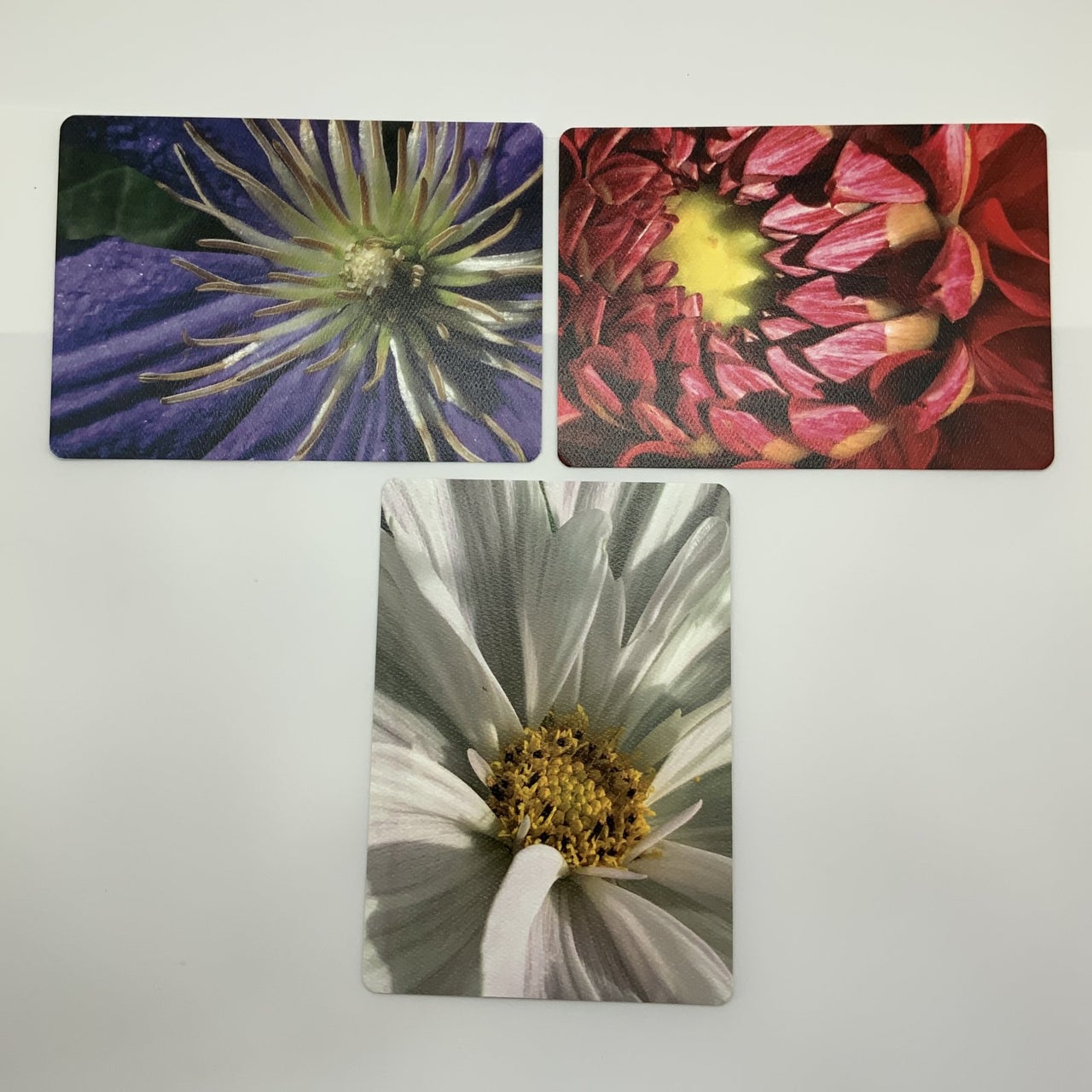 Artistic Floral Postcard Collection 3