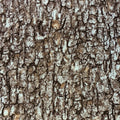 562-brown