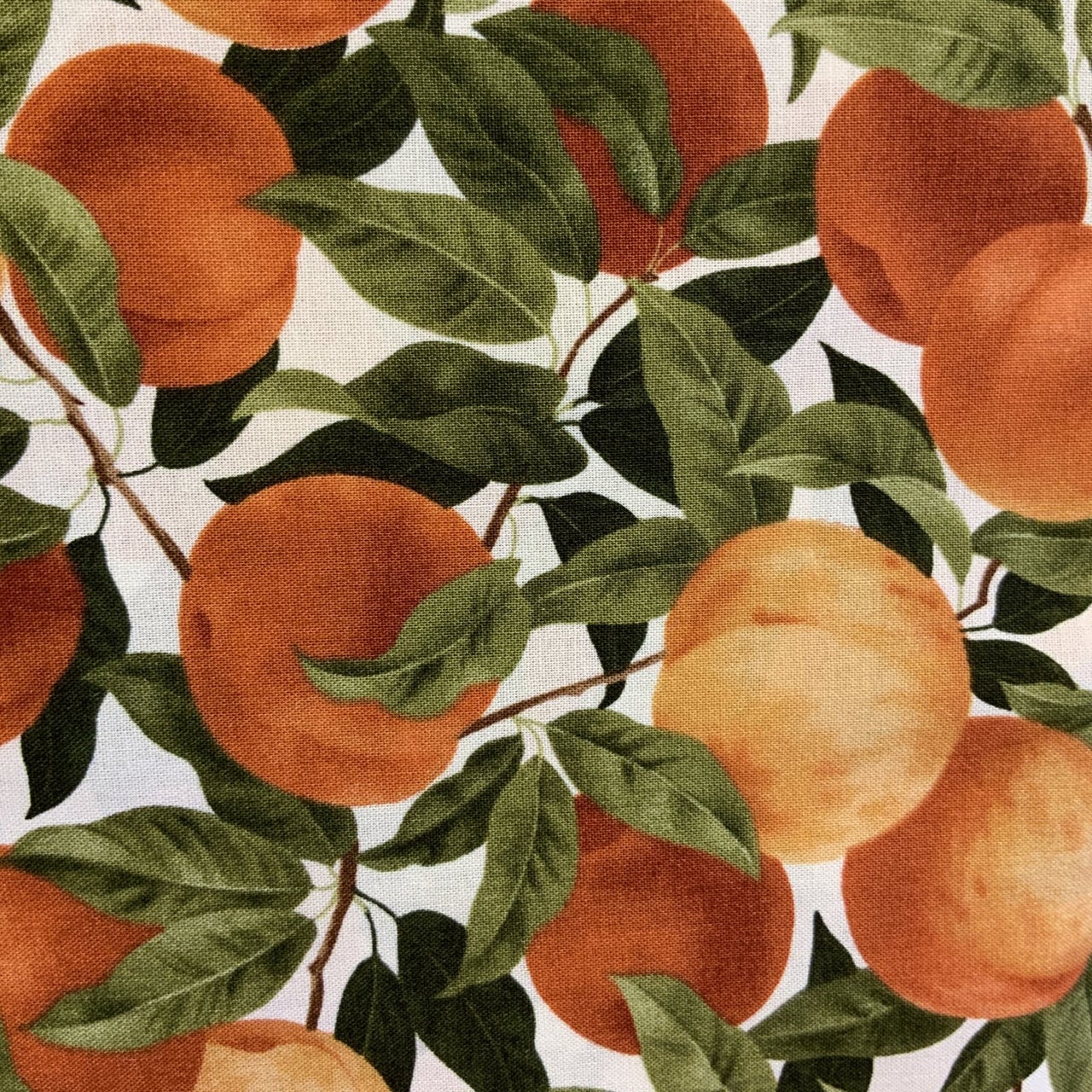 Fruit C4015