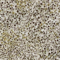 SRKM-13708-169