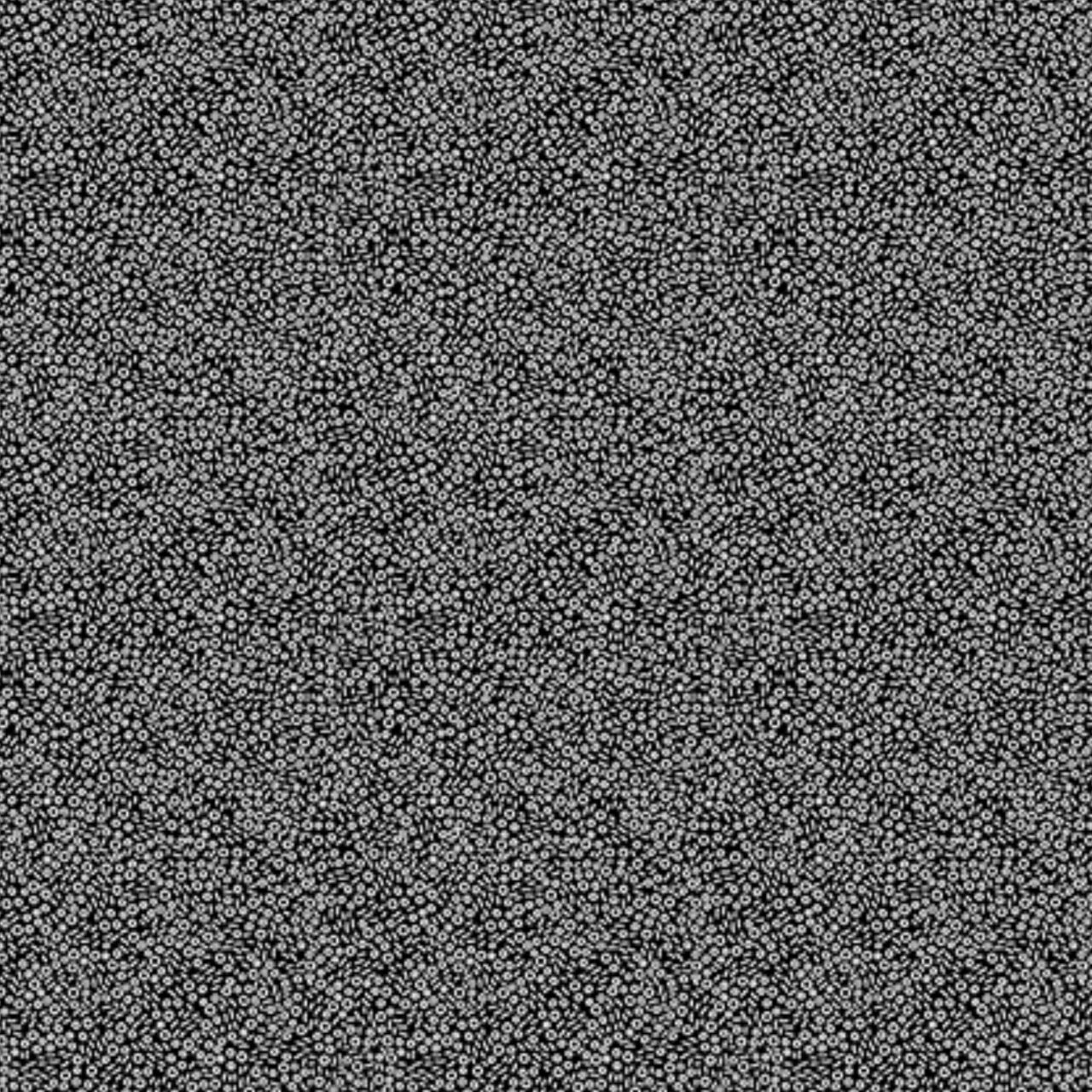 53561-2