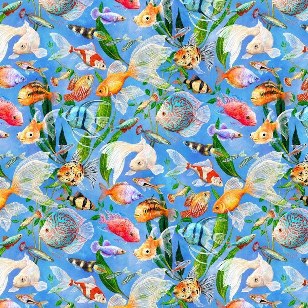 Rosie-cd4151 blue
