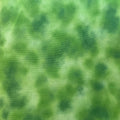 19035-6