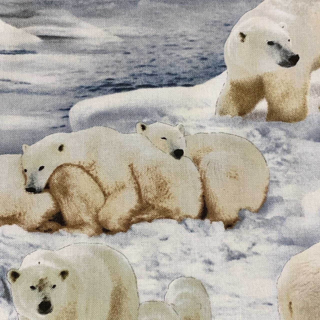 489-Ice