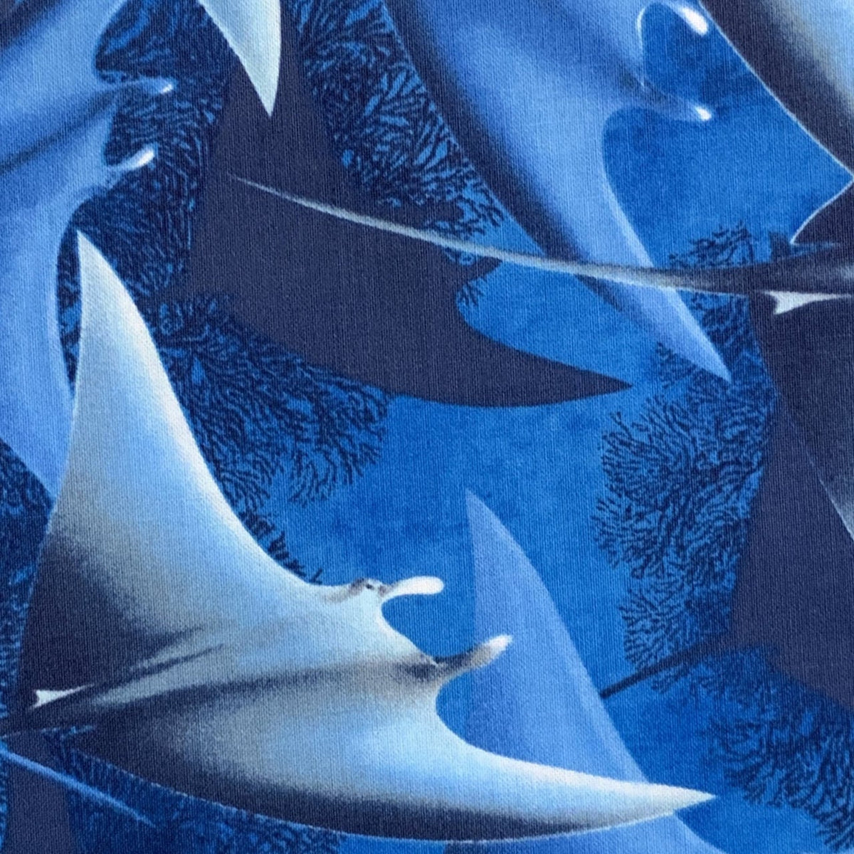 C7836- Blue