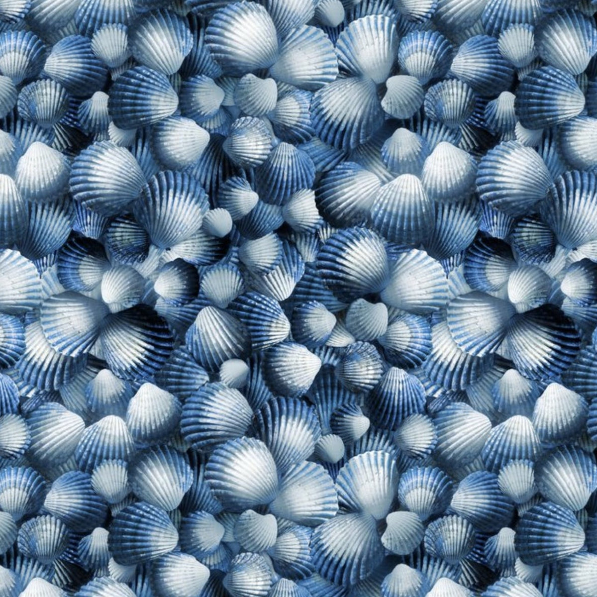 Beach-CD1781 blue