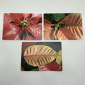 Artistic Floral Postcard Collection 4