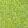 C9927-lime