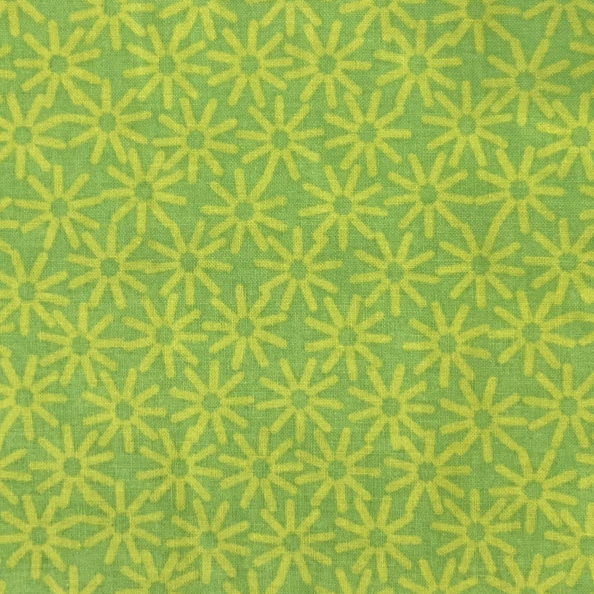 C9927-lime