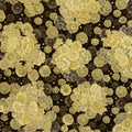 SRKM 13754-156 Linen