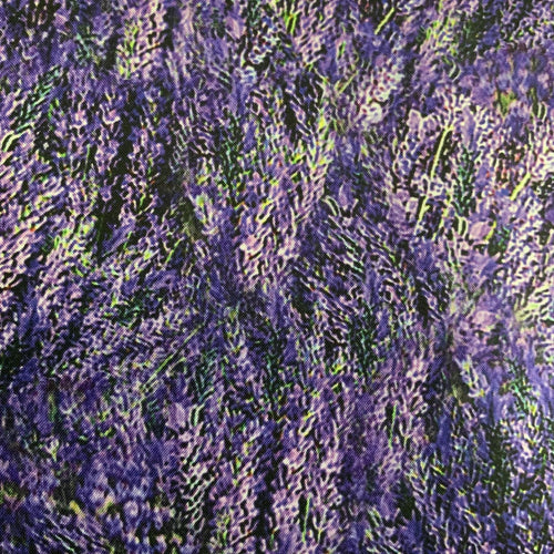2013-purple