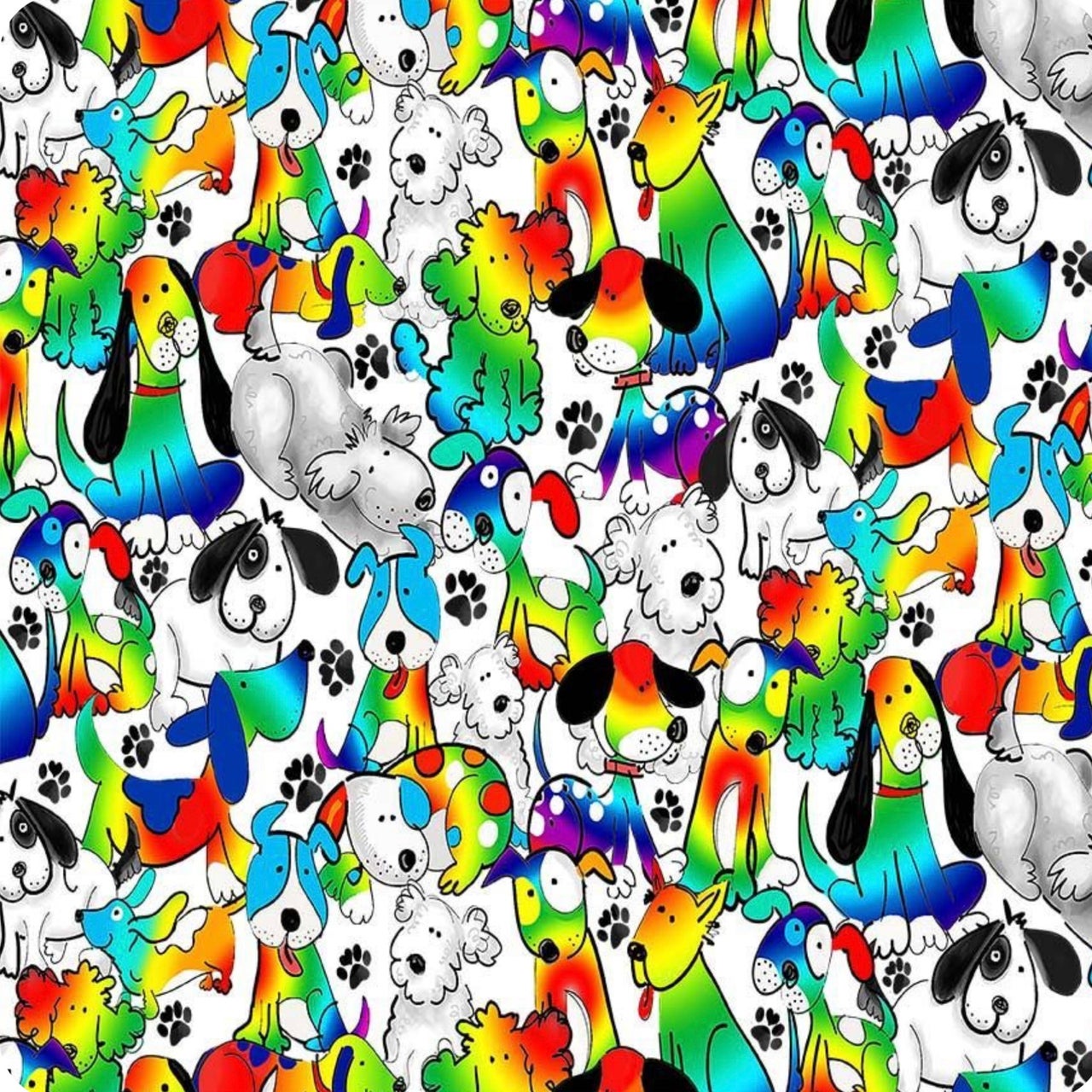 Gail-cd4000 rainbow