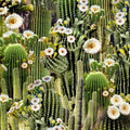 West-cd3345 cactus
