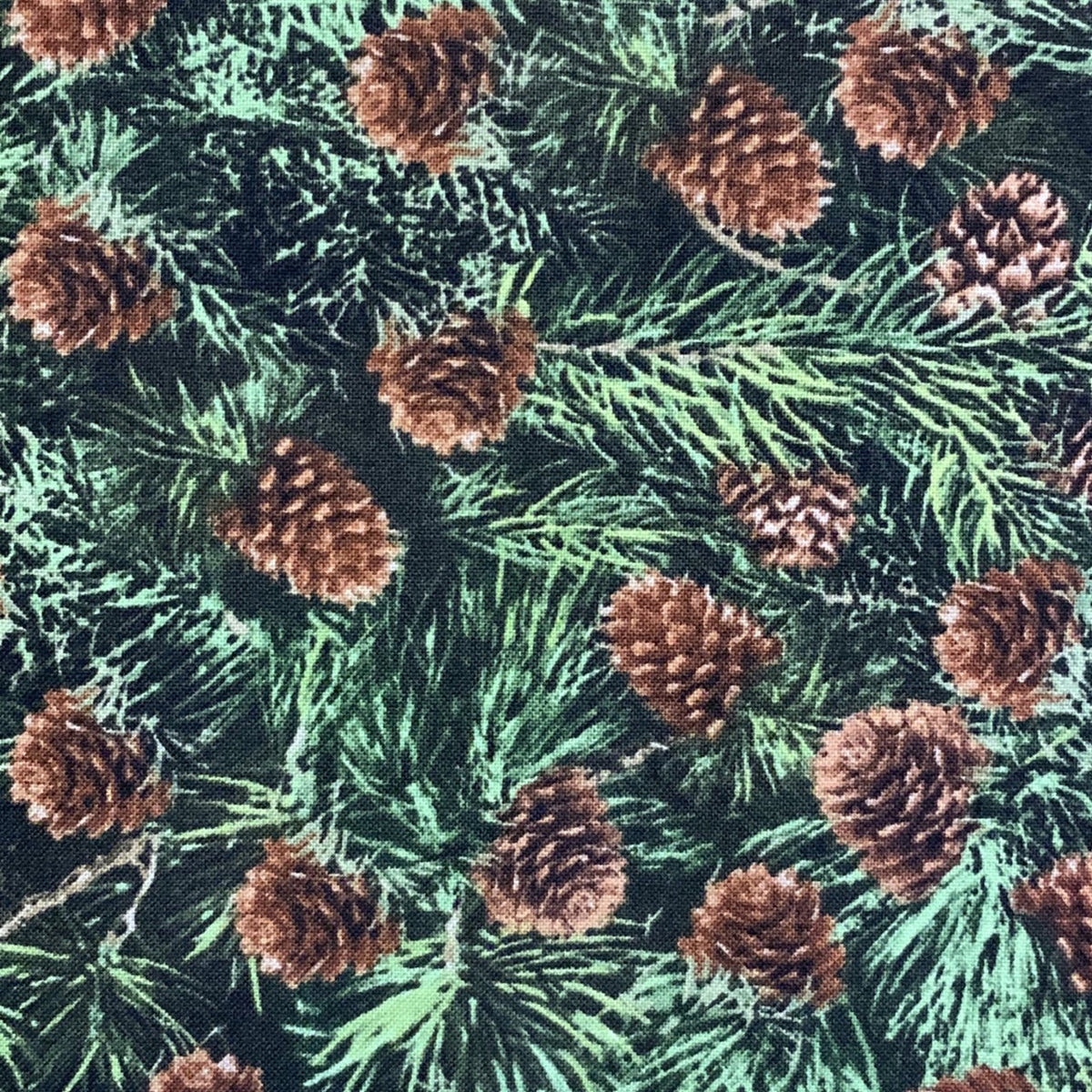 C6736-pine
