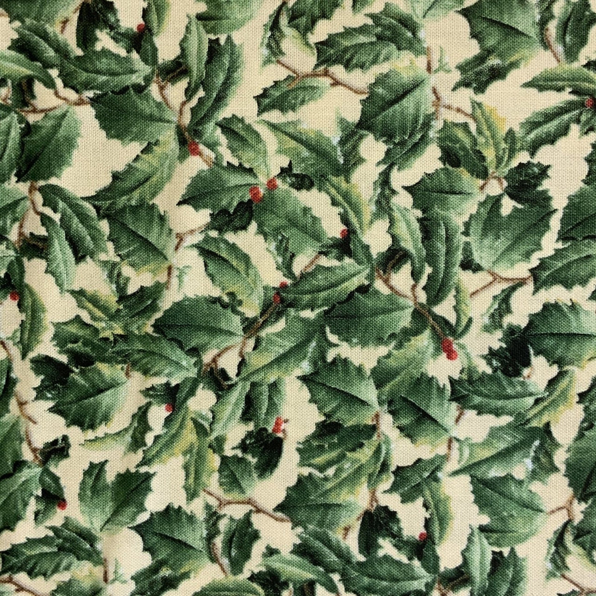 Holly Leaves