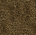 Animal skins