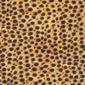 SRKD-20592-286 -Wild