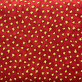 C 4221 Red