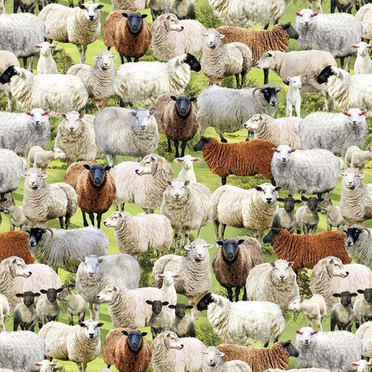 Farm-3077