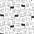 Cat-cd2571 white