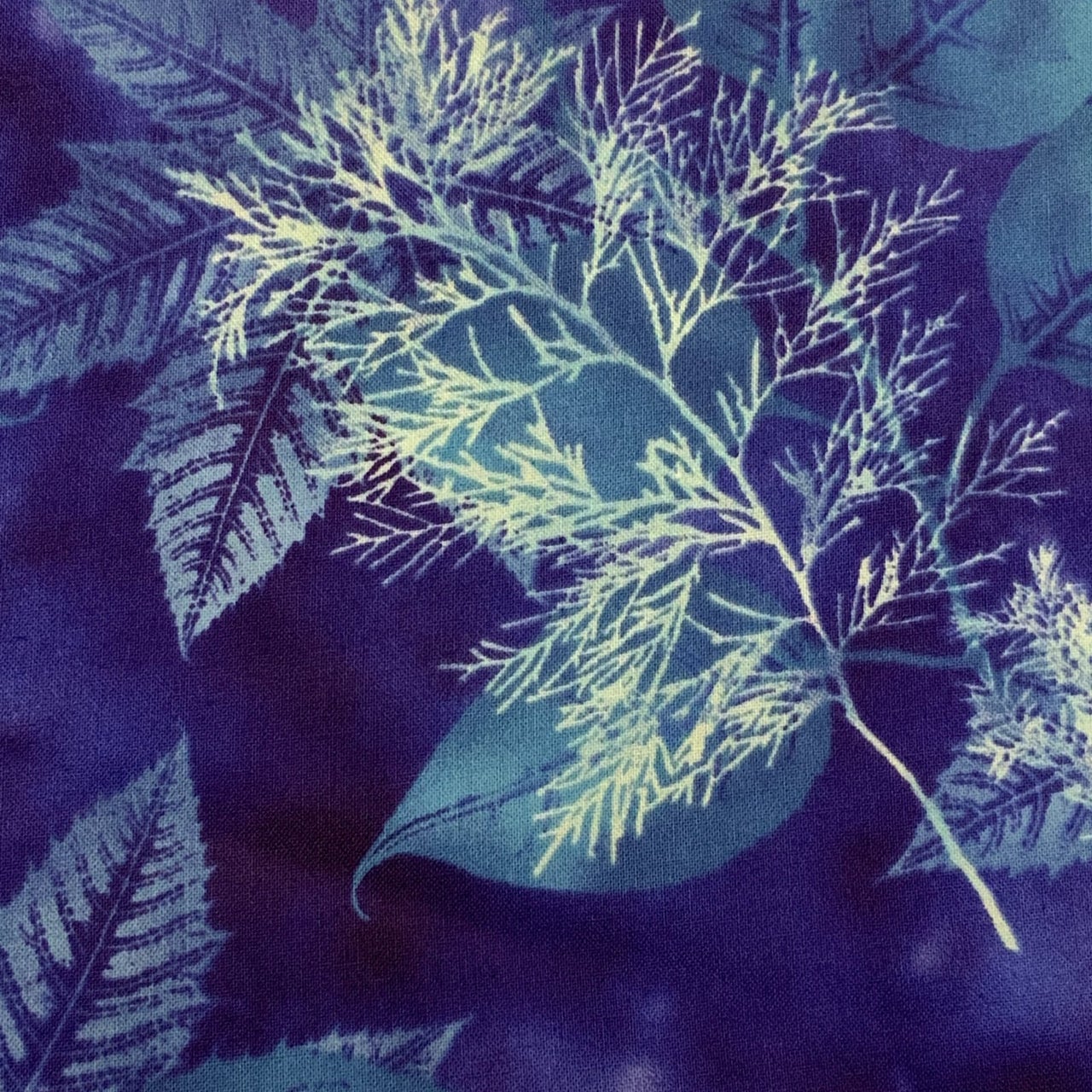 C515-Blue