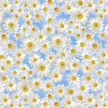 2436-sky