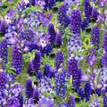 2434-purple