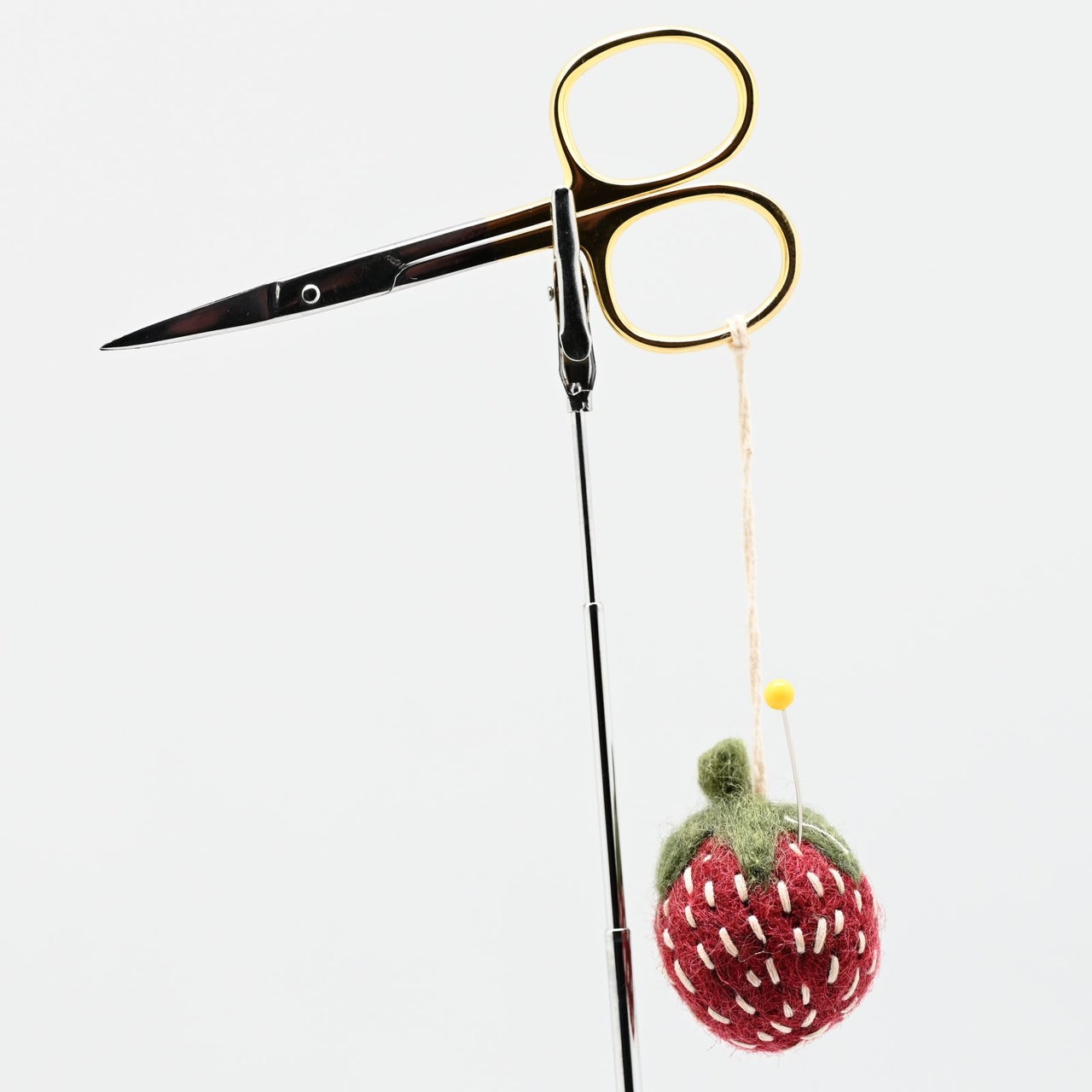 Scissor Markers Strawberries