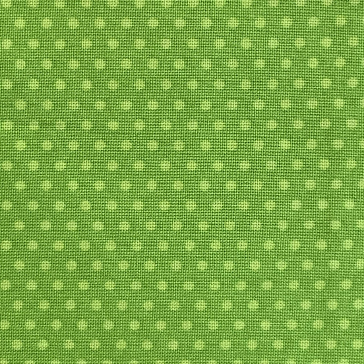 C4698 apple