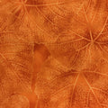 D831-orange