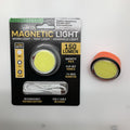 008-Magnetic Light