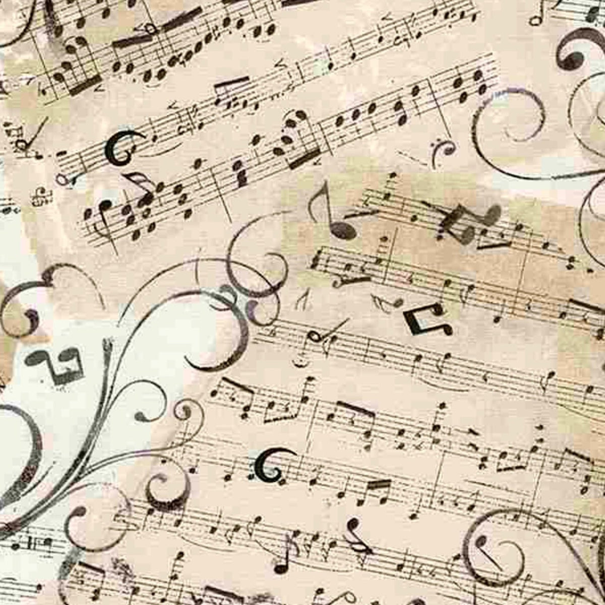 Music-C4830