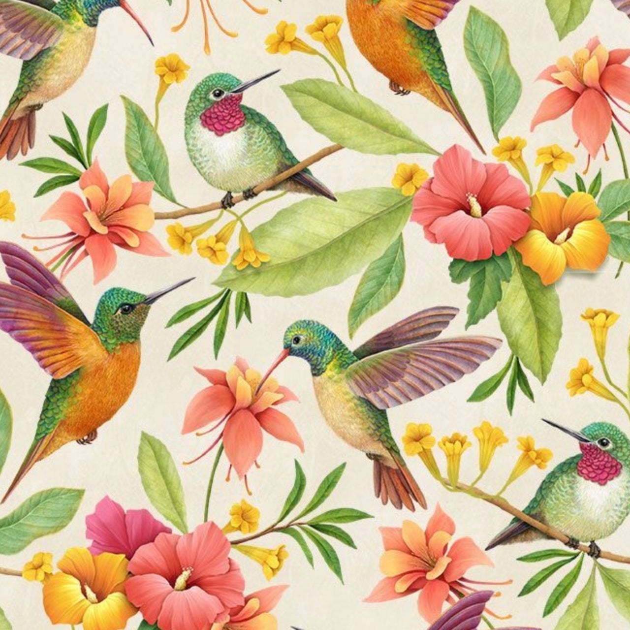 Rosie-cd1915 multi