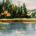 1649-81528