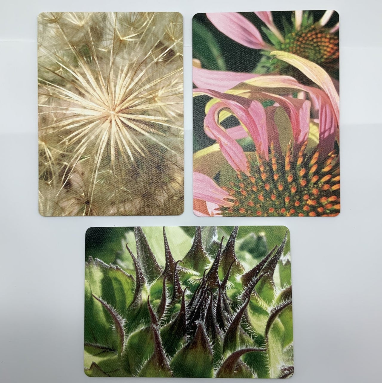 Artistic Floral Postcard Collection 2