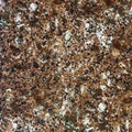 1649-45593-A