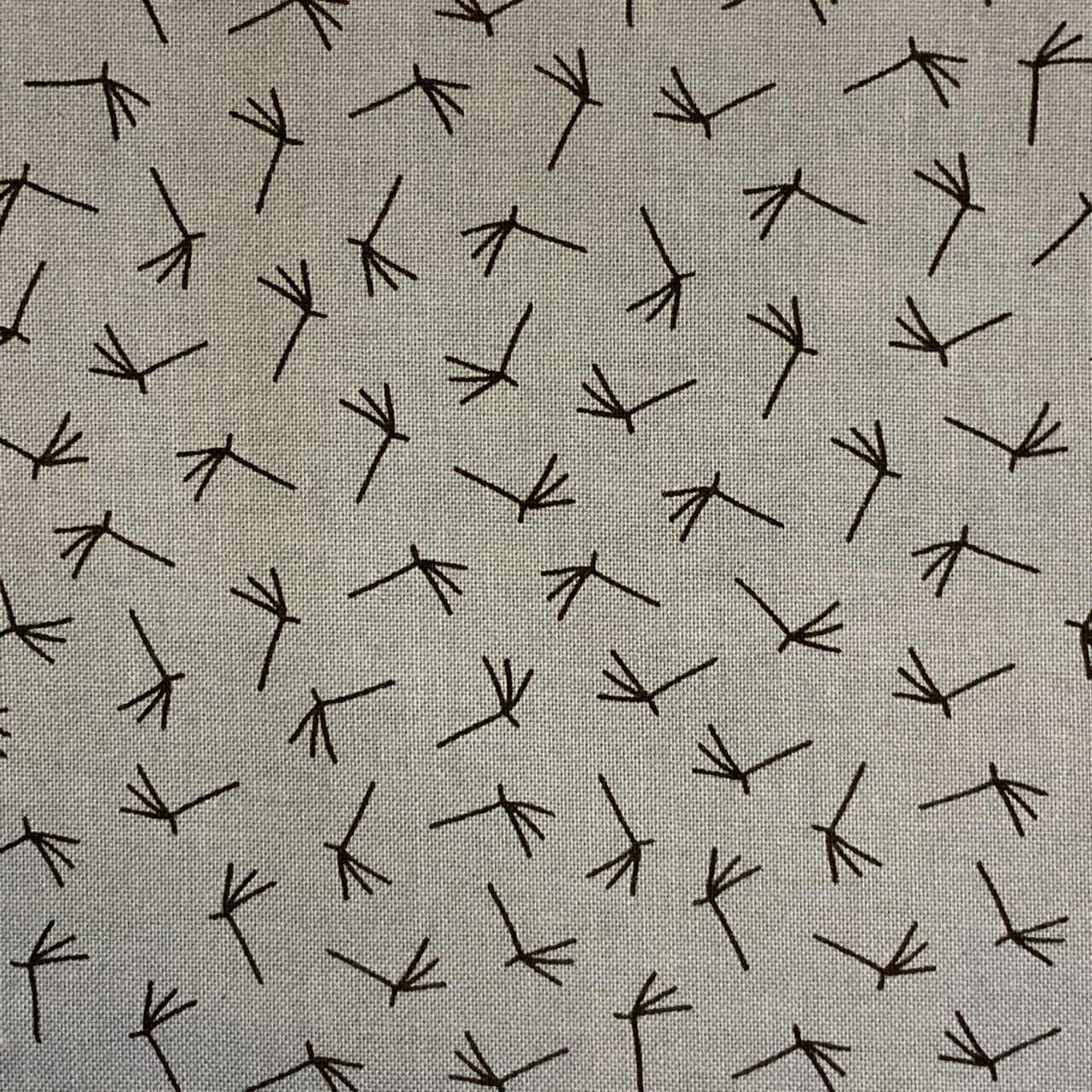 Hen-C2904-Grey