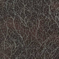 Chocolate Diamond Dust