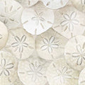Beach-CD8461 Sand