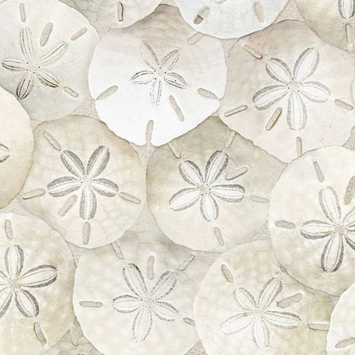 Beach-CD8461 Sand